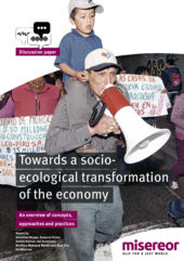Discussion Paper: Towards a socio-ecological transformation of the economy