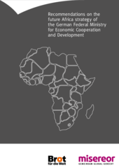 Recommendations on the future Africa strategy of the German Federal Ministry for Economic Cooperation and Development