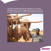 Cultures authochtones en Afrique de L'Ouest: Opportunités pour l'amélioration des plantes de faire avancer la transition agroécologique