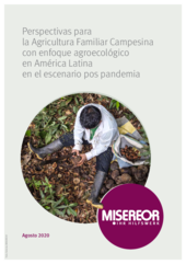 Perspectivas para la Agricultura Familiar Campesina con enfoque agroecológico en América Latina en el escenario pos pandemia